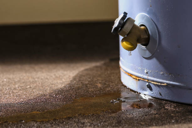 Best Flooded house restoration  in Sonterra, TX