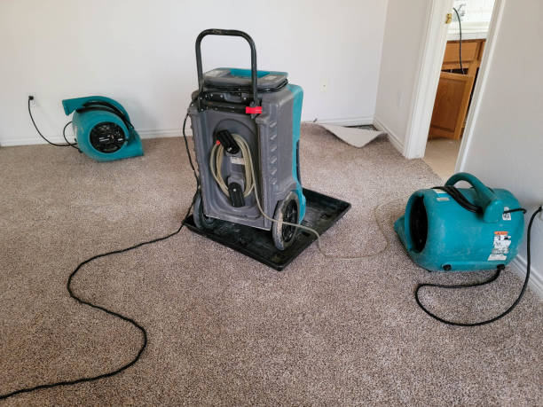 Best Fire Damage Restoration  in Sonterra, TX