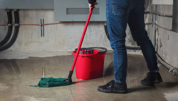 Best Sewage cleanup and water damage restoration  in Sonterra, TX