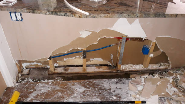 Best Basement water damage restoration  in Sonterra, TX