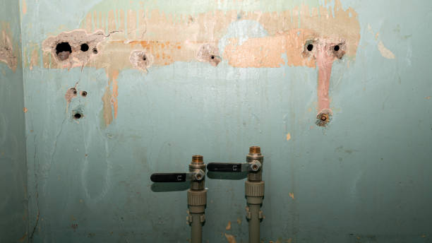 Best Water damage contractors near me  in Sonterra, TX