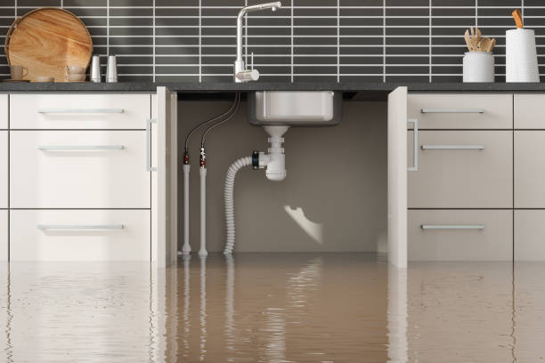 Best Basement water damage restoration  in Sonterra, TX