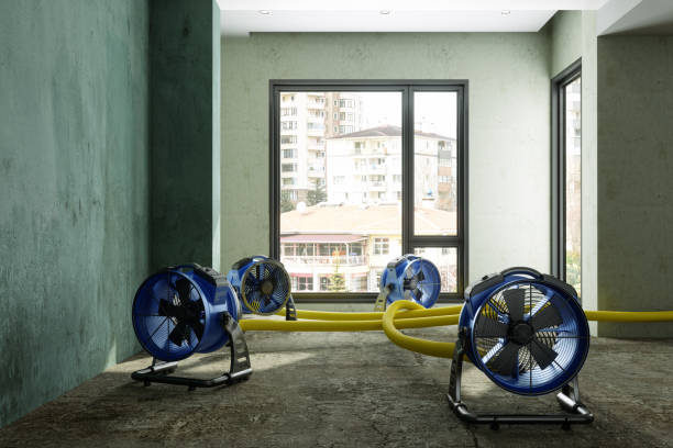 Best 24-hour water damage restoration  in Sonterra, TX
